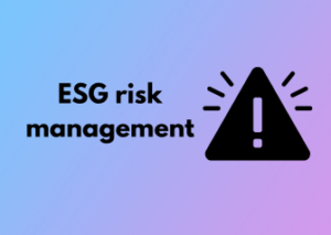 ESG risk management